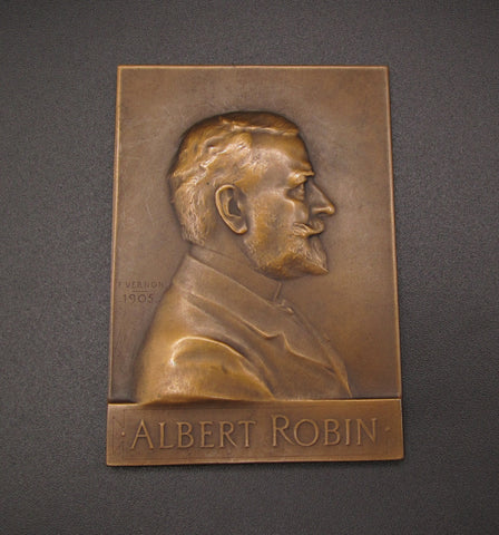 France 1905 Albert Robin Plaque Medal - By Vernon