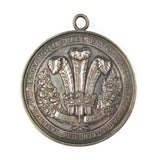 1872 Recovery Of The Prince Of Wales 58mm Silver Medal - By Wyon